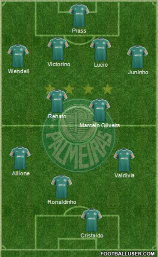 SE Palmeiras Formation 2014