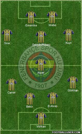 Fenerbahçe SK Formation 2014