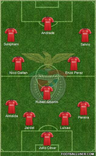 Sport Lisboa e Benfica - SAD Formation 2014