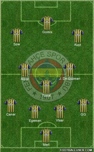 Fenerbahçe SK Formation 2014
