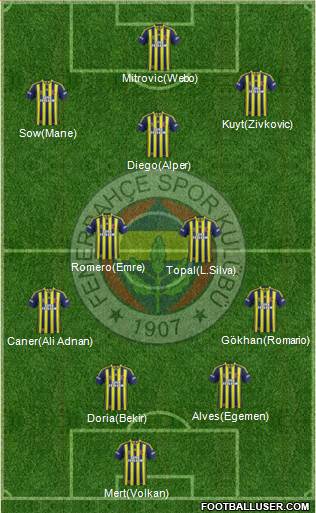 Fenerbahçe SK Formation 2014