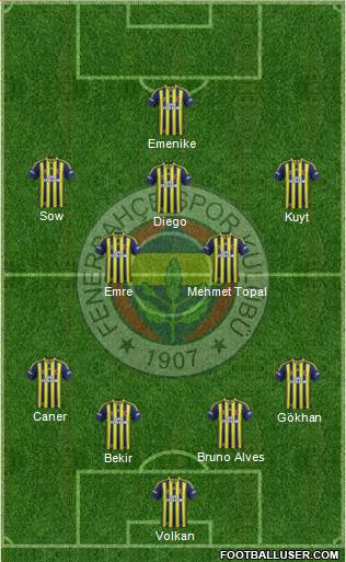 Fenerbahçe SK Formation 2014