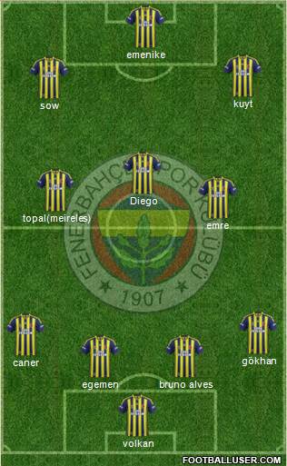Fenerbahçe SK Formation 2014