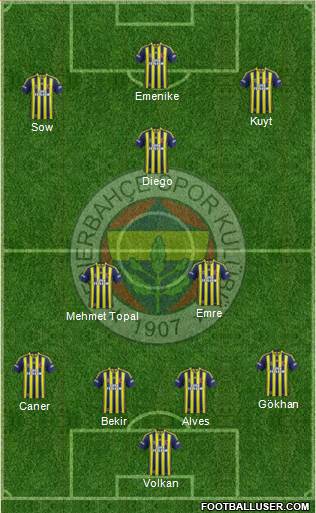 Fenerbahçe SK Formation 2014