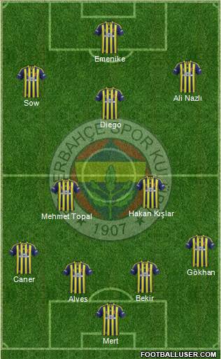 Fenerbahçe SK Formation 2014