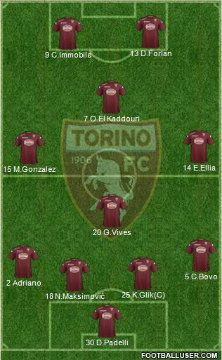 Torino Formation 2014
