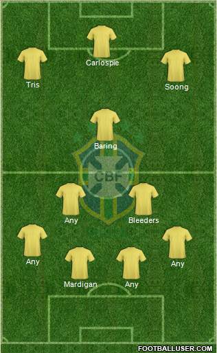 Brazil Formation 2014