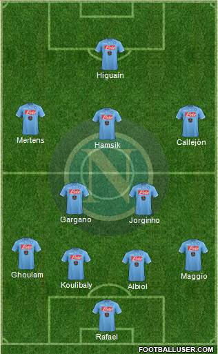 Napoli Formation 2014