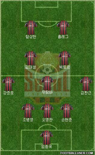FC Seoul Formation 2014