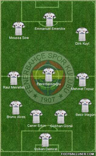 Fenerbahçe SK Formation 2014