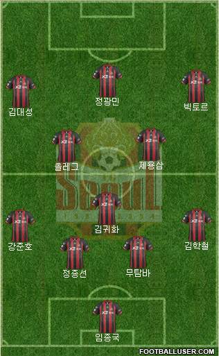 FC Seoul Formation 2014