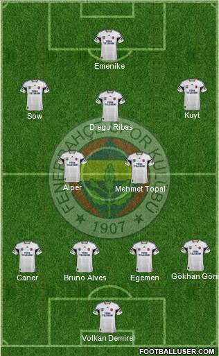 Fenerbahçe SK Formation 2014