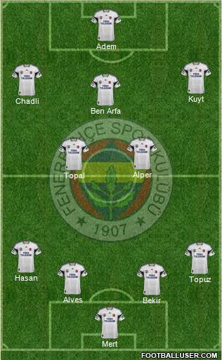 Fenerbahçe SK Formation 2014