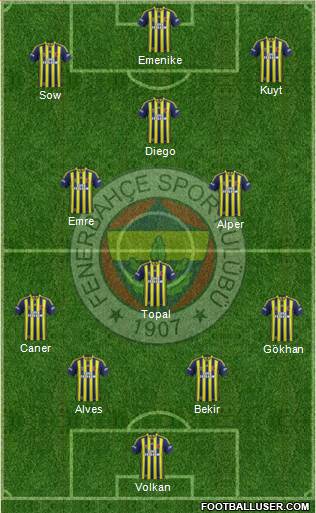 Fenerbahçe SK Formation 2014