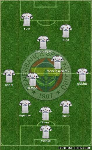 Fenerbahçe SK Formation 2014