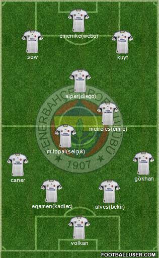 Fenerbahçe SK Formation 2014