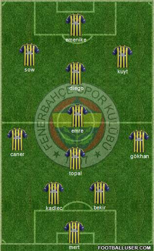 Fenerbahçe SK Formation 2014
