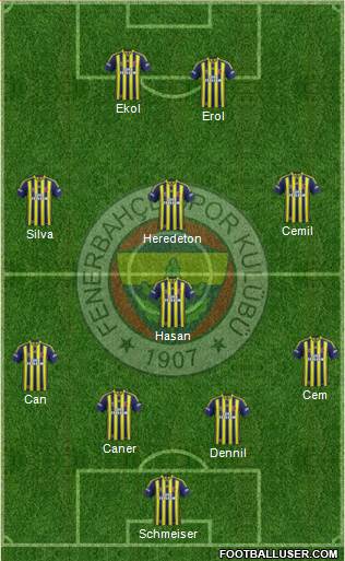 Fenerbahçe SK Formation 2014