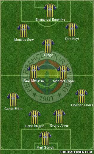 Fenerbahçe SK Formation 2014