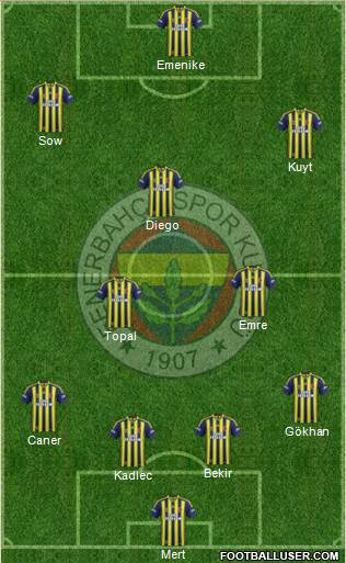Fenerbahçe SK Formation 2014