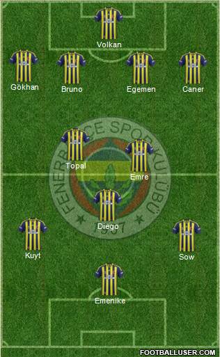 Fenerbahçe SK Formation 2014