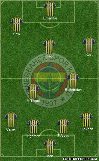 Fenerbahçe SK Formation 2014