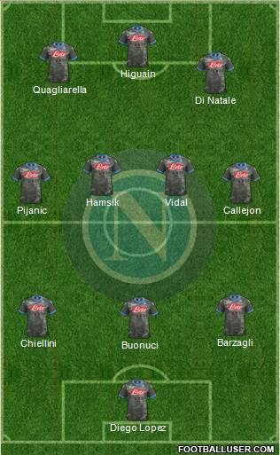Napoli Formation 2014