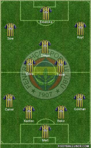 Fenerbahçe SK Formation 2014