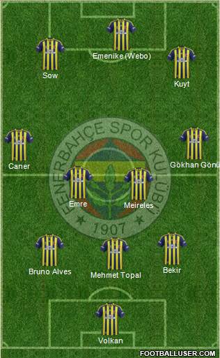 Fenerbahçe SK Formation 2014