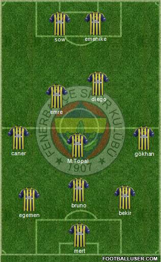 Fenerbahçe SK Formation 2014
