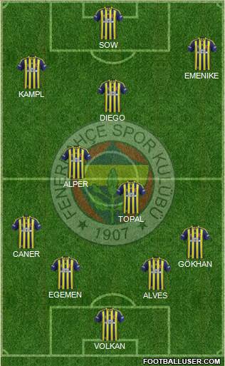 Fenerbahçe SK Formation 2014