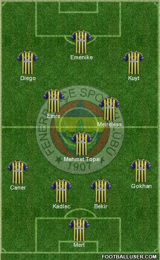 Fenerbahçe SK Formation 2014