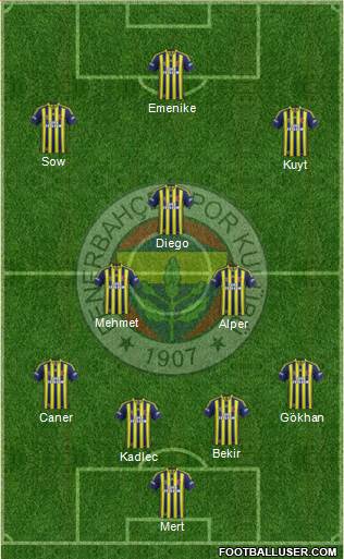 Fenerbahçe SK Formation 2014
