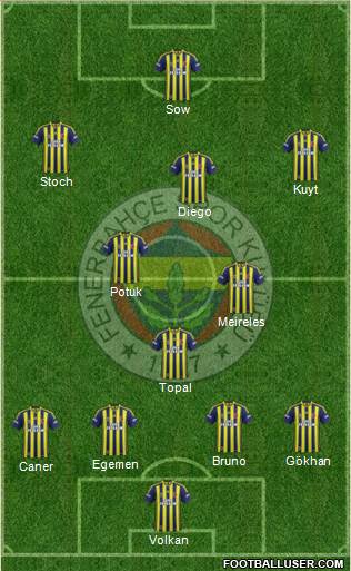 Fenerbahçe SK Formation 2014