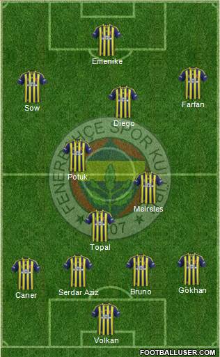 Fenerbahçe SK Formation 2014