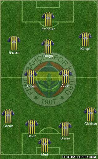 Fenerbahçe SK Formation 2014