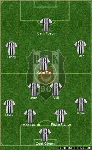 Besiktas JK Formation 2014