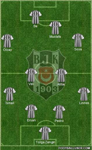 Besiktas JK Formation 2014