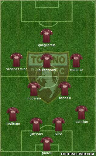 Torino Formation 2014
