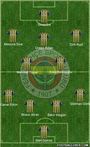 Fenerbahçe SK Formation 2014