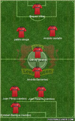 Bayer 04 Leverkusen Formation 2014