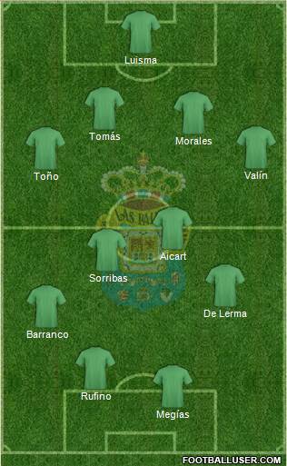 U.D. Las Palmas S.A.D. Formation 2014