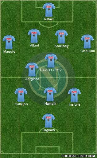 Napoli Formation 2014