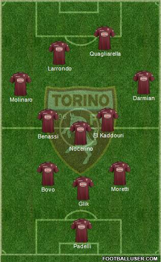 Torino Formation 2014
