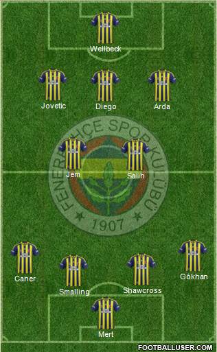 Fenerbahçe SK Formation 2014