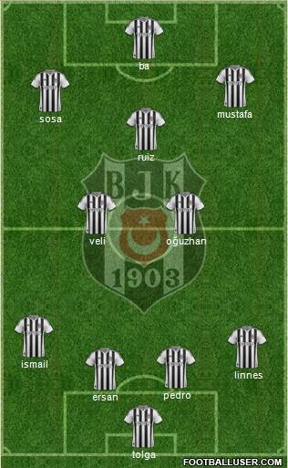 Besiktas JK Formation 2014