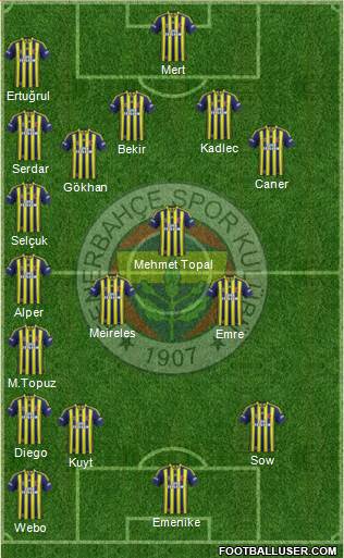 Fenerbahçe SK Formation 2014