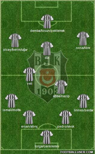 Besiktas JK Formation 2014