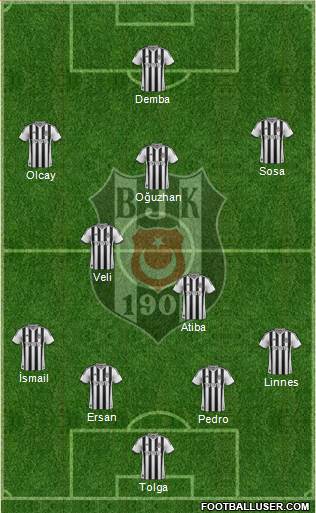 Besiktas JK Formation 2014