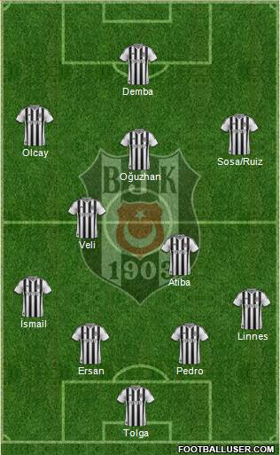 Besiktas JK Formation 2014